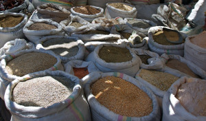 grains in Ethiopia