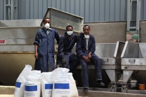 Workers at the new fertilizer blending facility run by the Becho-Woliso Farmers' Cooperative Union in Oromia. Photo Credit: ATA Photo Credit: ATA